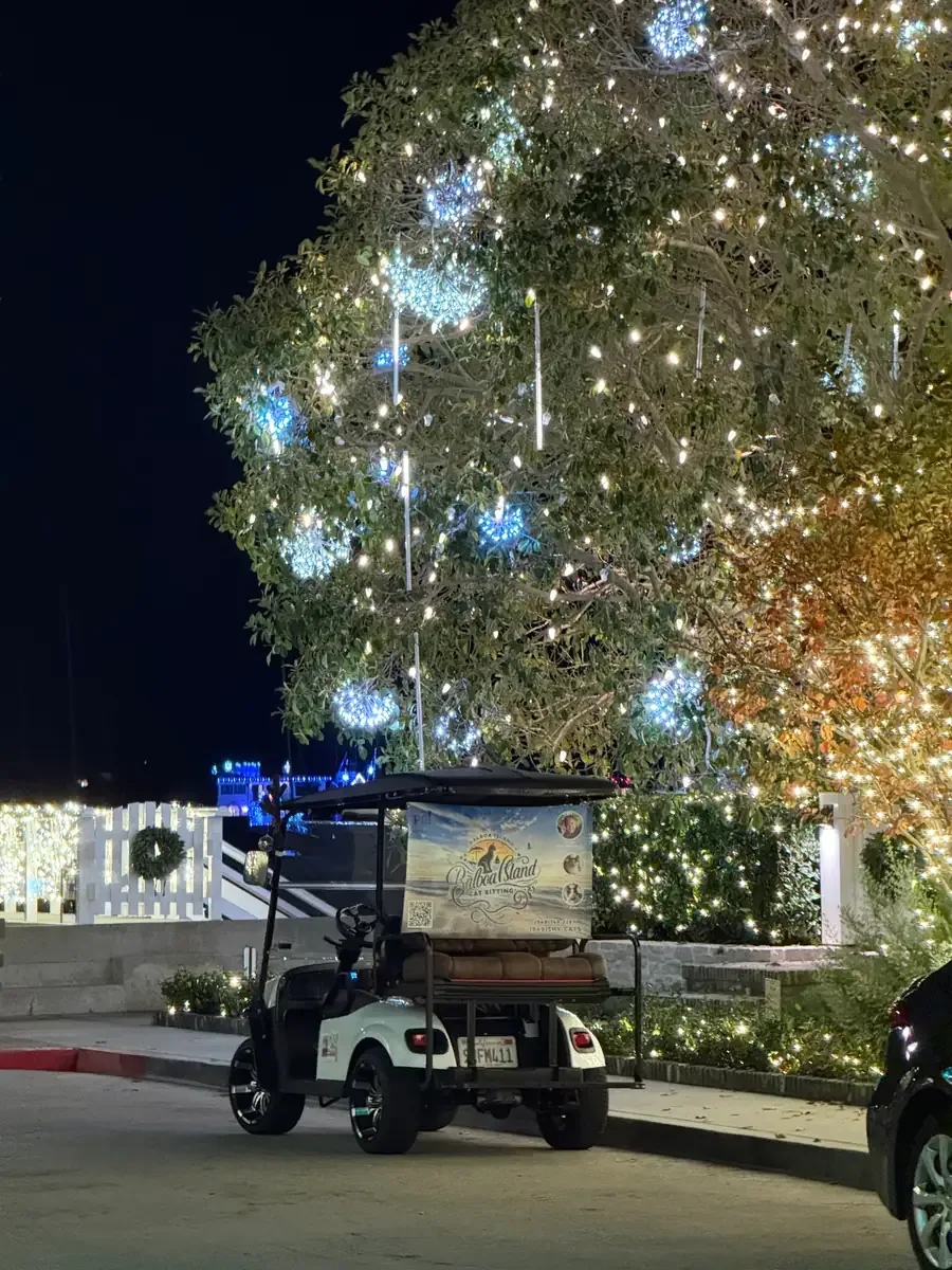 The Balboa Island Cat Sitting golf cart, with the business banner on its back, parked at night under a tree strung with holiday lights